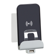 ŁADOWARKA INDUKCYJNA